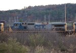 CSX 9019